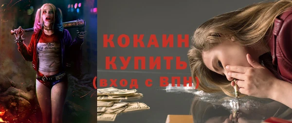 кокс Арсеньев