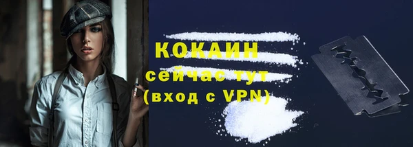кокс Арсеньев