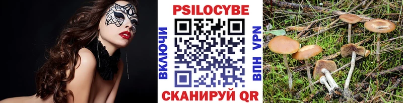 Псилоцибиновые грибы GOLDEN TEACHER  Лагань 