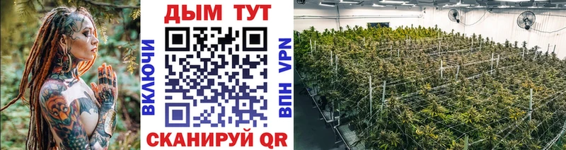где можно купить наркотик  Лагань  Шишки марихуана VHQ 